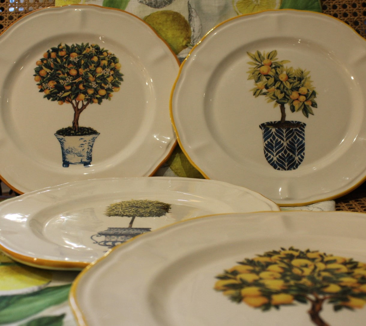 Assiettes Topiaire