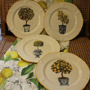 Assiettes Topiaire