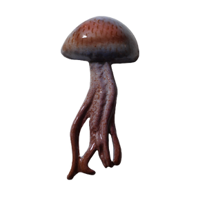 Méduse Céramique