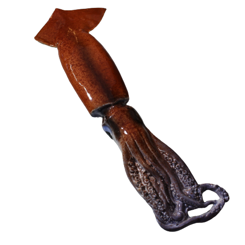 Totano Grande