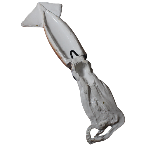 Totano Grande
